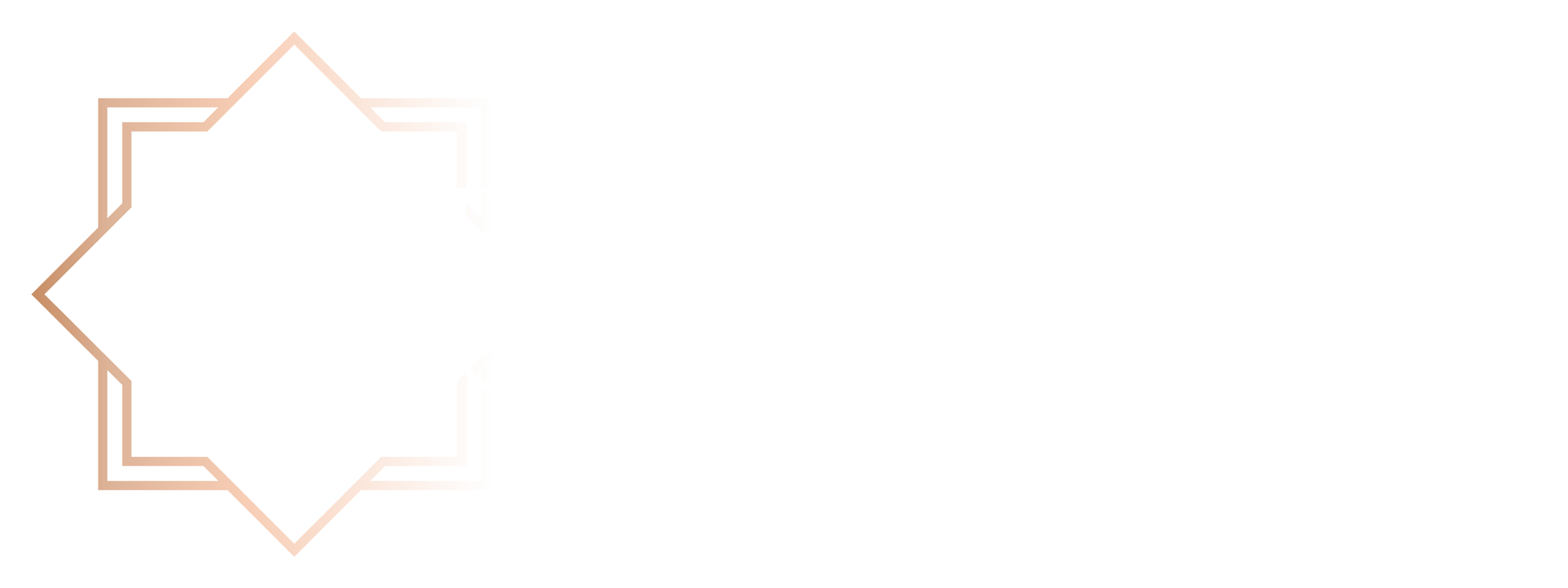 Marike Snyman Attorneys_MAIN LOGO_White